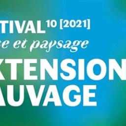 Accompagnement d'artistes et coopération, itv / Extension Sauvage - Latifa Laâbissi, itv