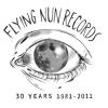 #4 FLYING NUN RECORDS (2/2)