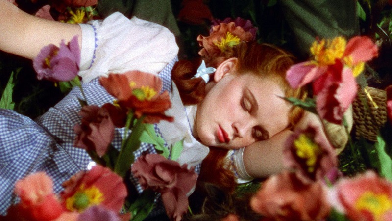 Bonne nuit Dorothy.jpg