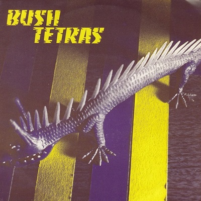 bushtetras