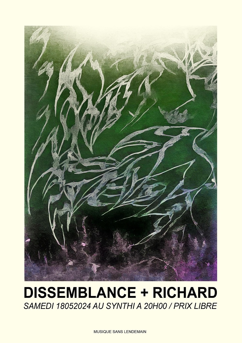 dissemblance.jpg