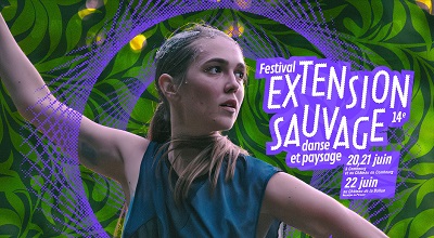extensionsauvage14.jpg