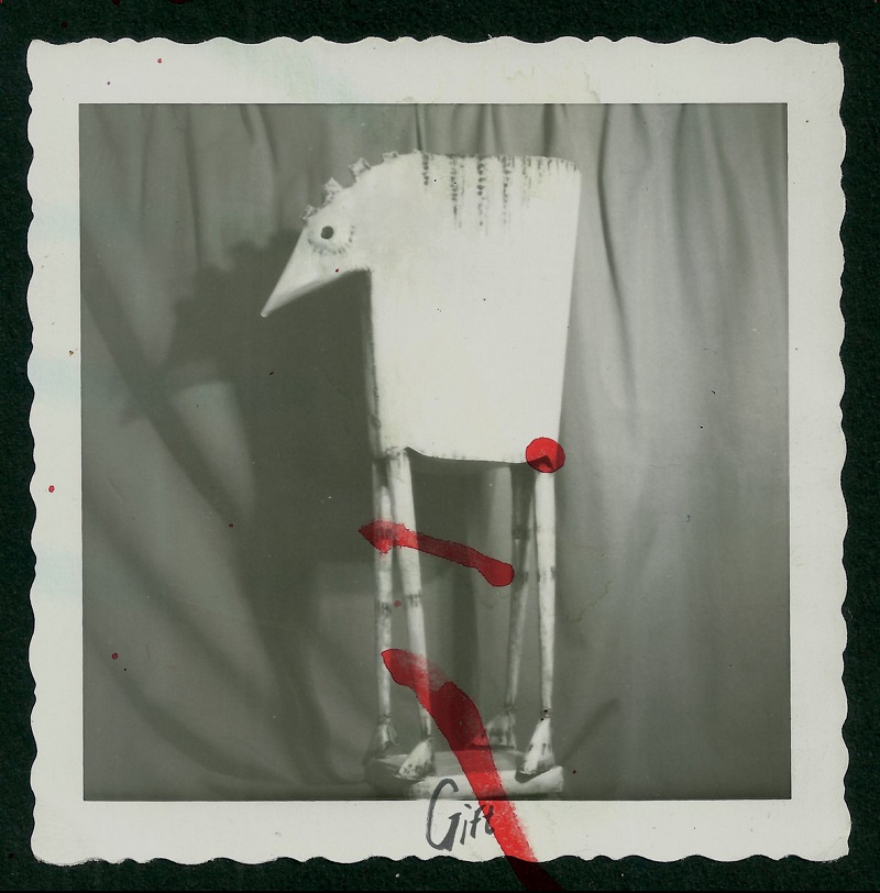 cover gift