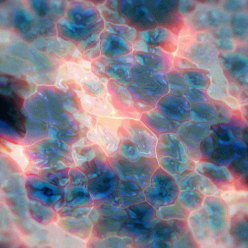 image-20221006132611-1