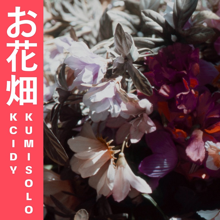 cover kcidy