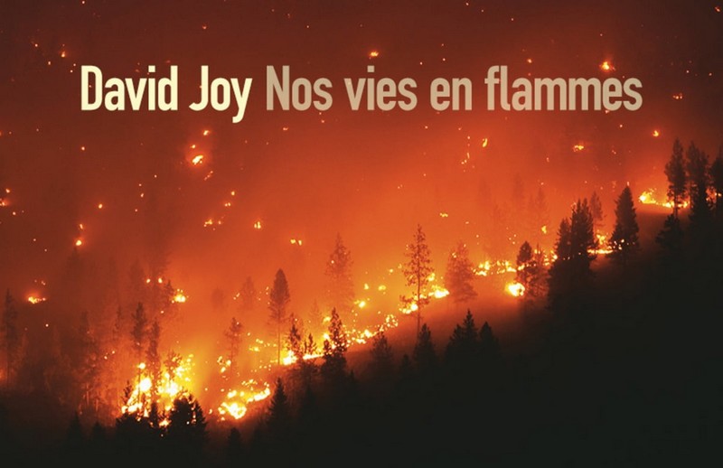 cover nos-vies-en-flammes-2