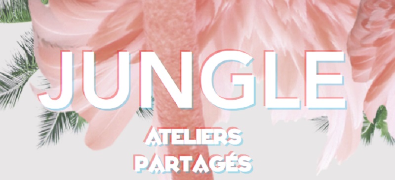 okjungel.jpg