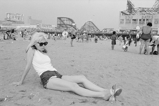 siesteconeyisland
