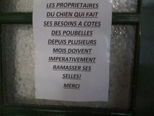 Chiens caca poubelles