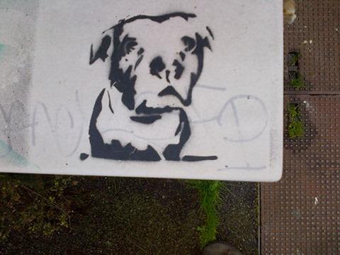 chien