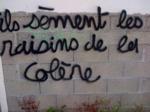 raisins colère