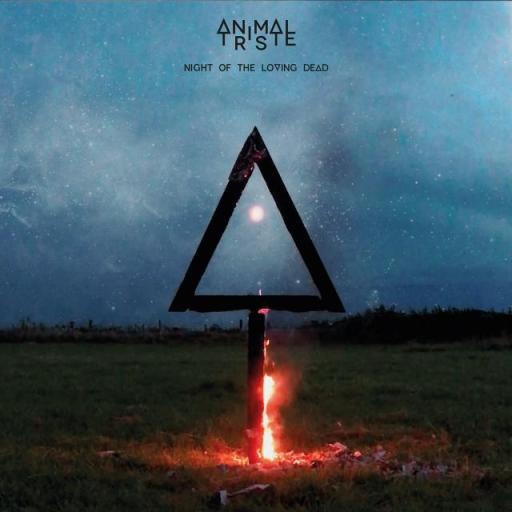 BOLD ANIMALTRISTE OUESTTRACK