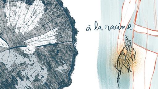 Céline Ziwès remonte "A la racine" avec un roman graphique
