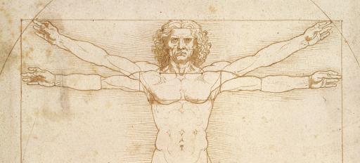 Léonard de Vinci s'expose à la croisée des arts et des sciences