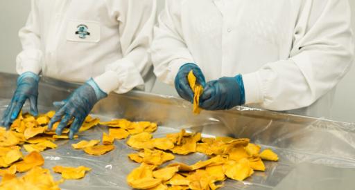 Le vrai coût des chips made in France avec le média d'investigation Splann