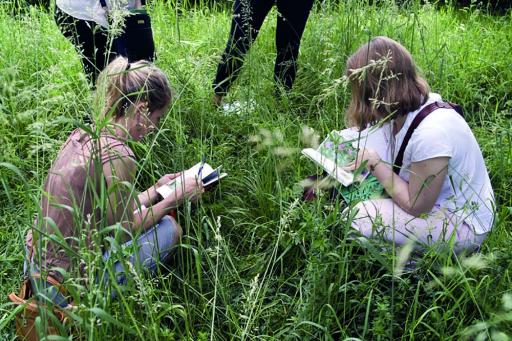 Trois communes unies pour constituer un atlas de la biodiversité près de Rennes