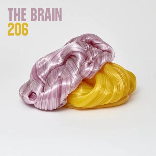 THE BRAIN #206