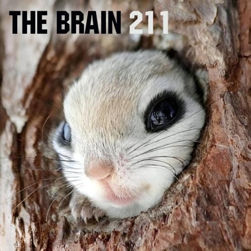The Brain radioshow