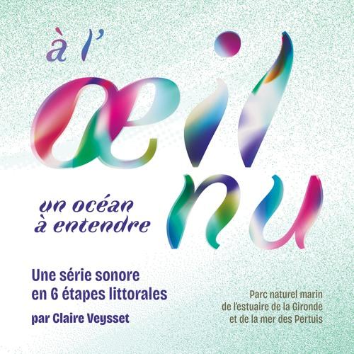 1er novembre 2025