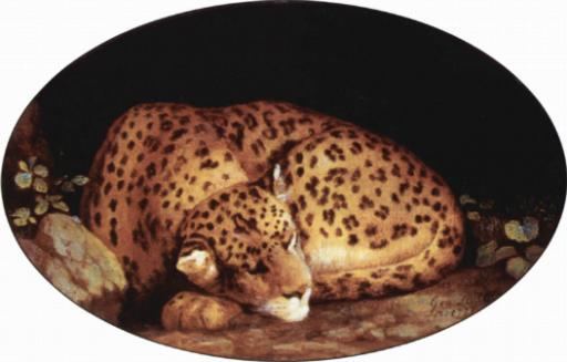 La panthère endormie (Paco)