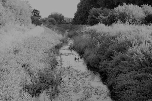 "La sécheresse n'est pas terminée", un reportage long-format sur la sécheresse en Bretagne