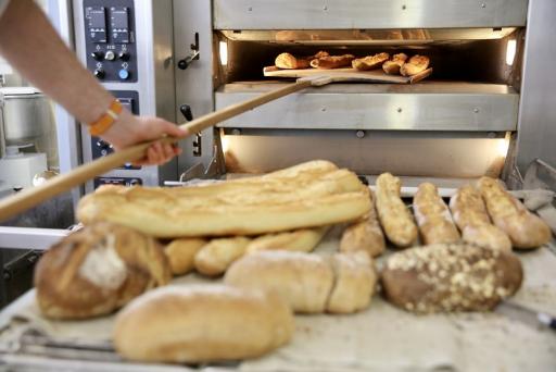 Un atlas de la biodiversité communale à La Bouëxière // Le secteur de la boulangerie-pâtisserie en crise