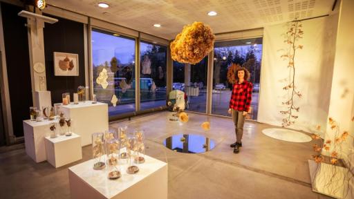 Ut herbarium poesis : de l'art végétal au Diapason // Les femmes au travail par Bretagne culture diversité