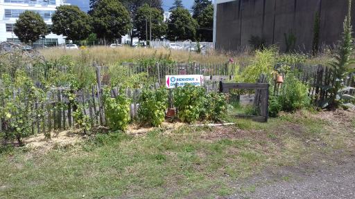 Vert le jardin 35 bien occupé pour démarrer l'année // Portrait du président des Brocanteurs de l'Ouest