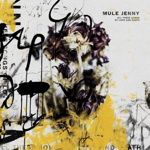 MULE JENNY BARBARUSS JETFM