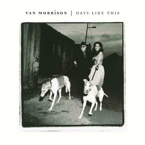 #205 Montez dans le Van [1983-2002]