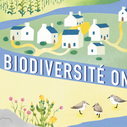 Biodiversité on air