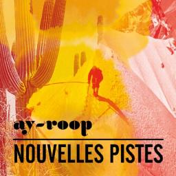 2010 AY ROOP