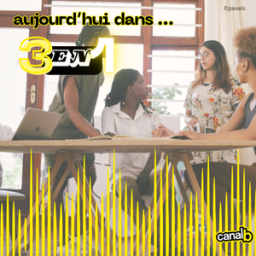 Zoom sur le fonctionnement des jumelages à Rennes / Sorti d'un guide de conseils "Pour un territoire accueillant” par l'Association Nationale des Villes et Territoires Accueillants 