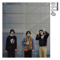 Aloha from Rennes #116 - Selver