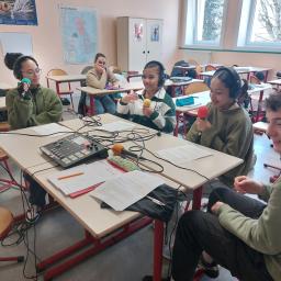 Collège Mahatma Gandhi de Fougères / Stand Up For A Cause 