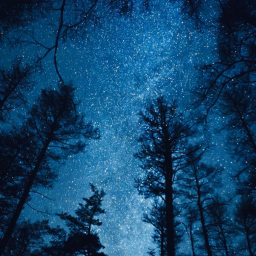 THE BEAT #220 : SOUS LES ETOILES (Episode 8)