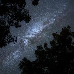 Rediff. THE BEAT #186 : SOUS LES ETOILES (Episode 6)