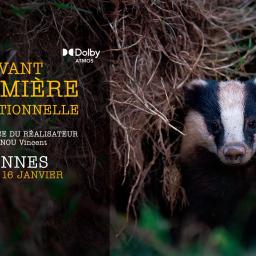 Le photographe animalier Vincent Rannou présente le documentaire "Argoat"