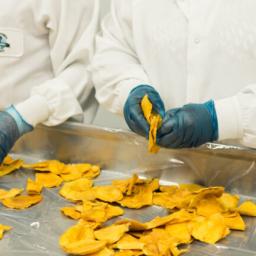 Le vrai coût des chips made in France avec le média d'investigation Splann