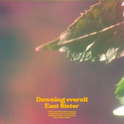 Dawning overall