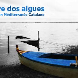Entre dos aigues (Raph Dumas / Trans Musicales 2017) 