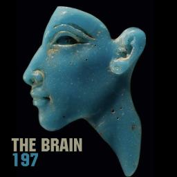 THE BRAIN #197