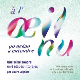 1er novembre 2025