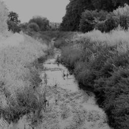 "La sécheresse n'est pas terminée", un reportage long-format sur la sécheresse en Bretagne