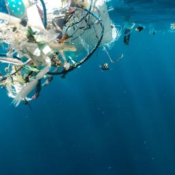 A Rennes et dans le département, deux programmations autour de la laïcité // Une anthropologue brestoise étudie l'art et la mer