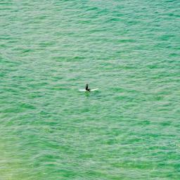 Floating Summer (José)