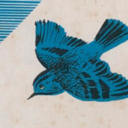 The litte bird (Barbatrax)