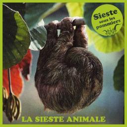 La Sieste Animale (Marc Blanchard)