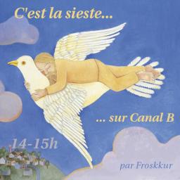 Le pigeon et l'homme endormi (Froskkür)