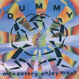 cover dummy